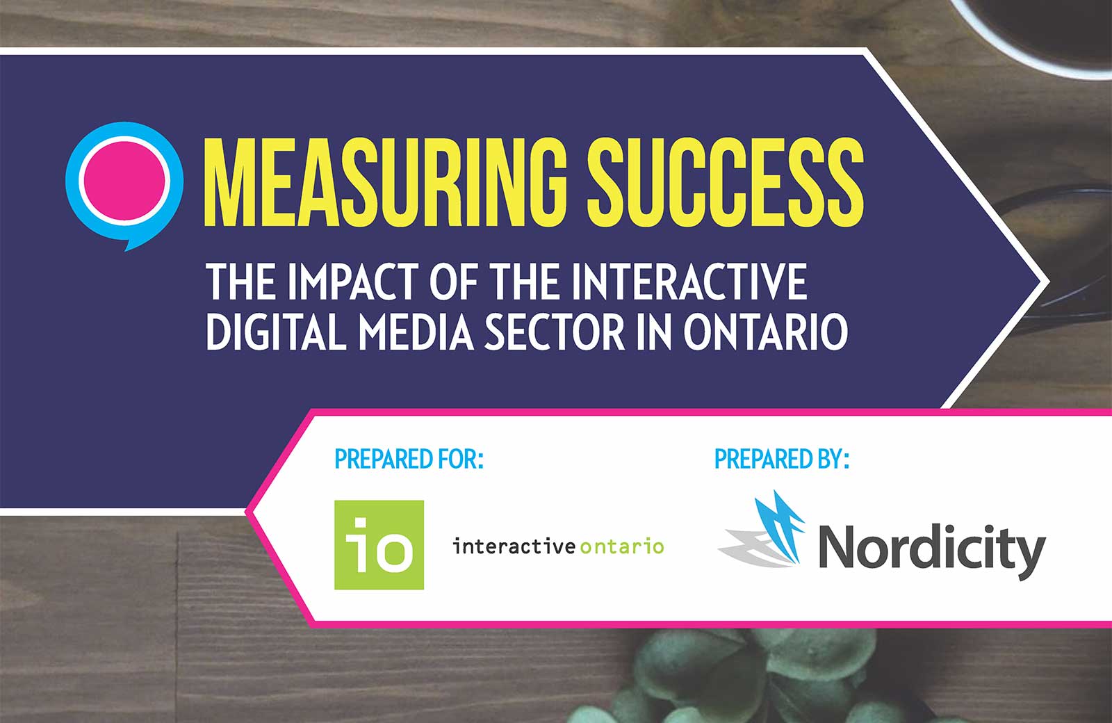 Measuring Success: The Impact of the Interactive Digital Media Section in Ontario - 2017 Edition
